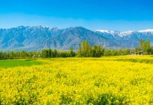 30 Places To Visit In Kashmir that No One should Miss In 2024